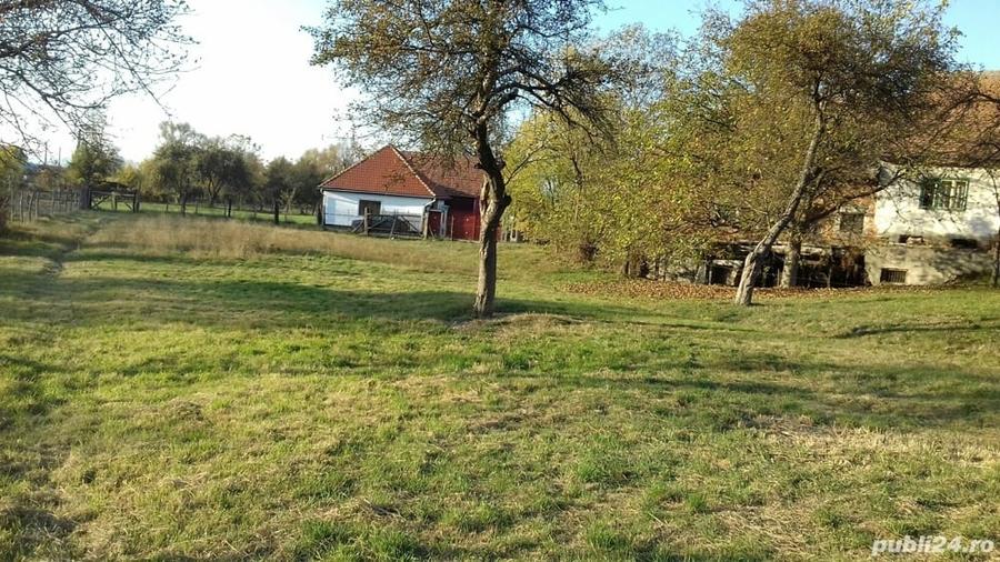 Teren de 2000 mp, în Porumbacu de Sus