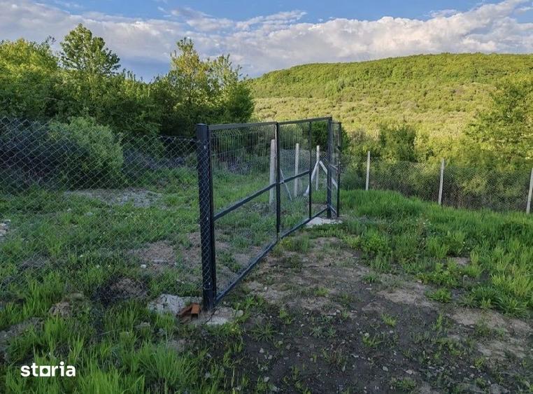 Teren extravilan 10 ari,Valea Rusului - 1