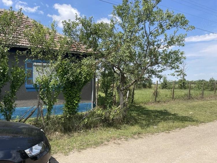 Casă cu Teren 3219 Mp în Căuașd