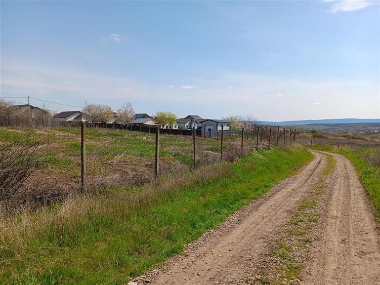 Teren Construcții intravilan de 500 mp, în Vorovești