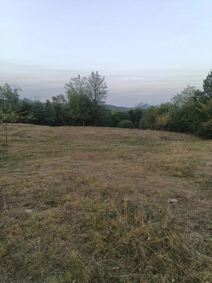 Teren de 8211 mp, în Central