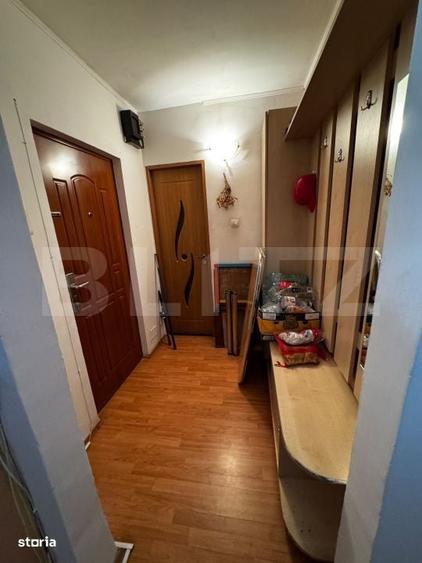 Apartament 3 camere Ludus - 8