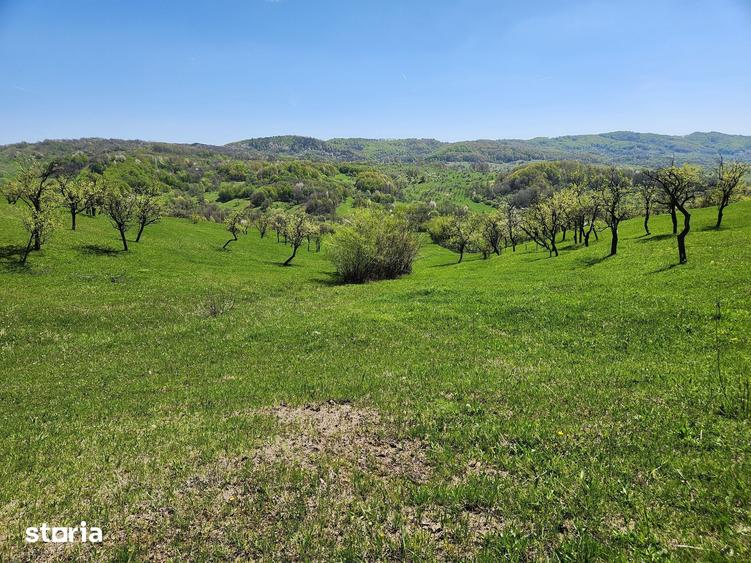 Teren de 16000 mp, în Posești