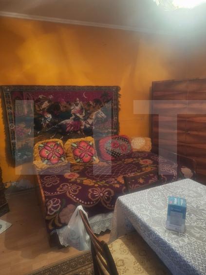 Casă individuală cu 4 camere cu Canalizare în Criciova