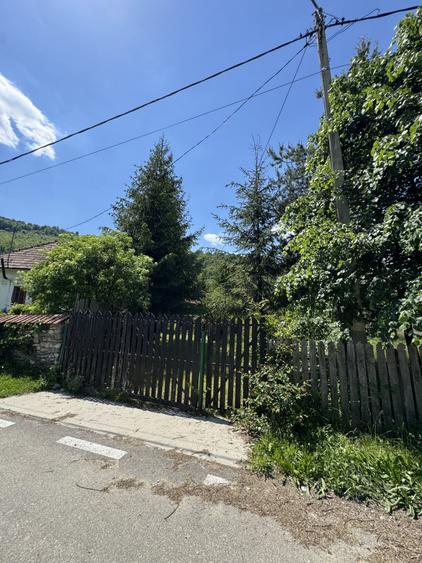 Casă individuală cu 4 camere cu Teren 3500 Mp în Lunca Gârtii