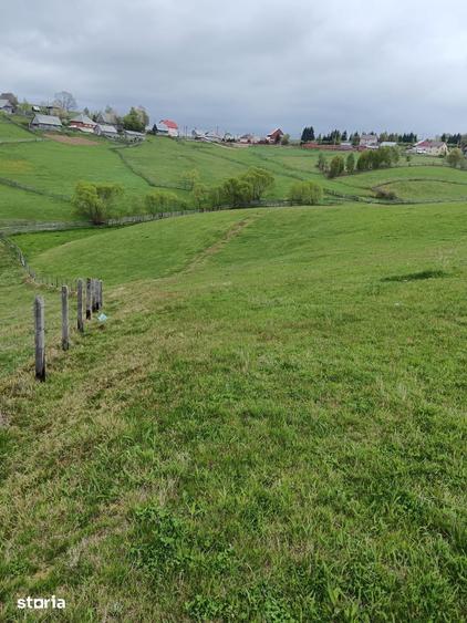 Teren 6000mp Maguri-Racatau, parau, utilita?i. Schimb Flore?ti - 1