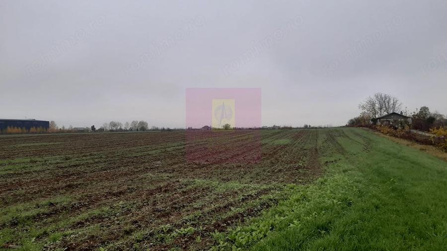 Teren de 2250 mp, în 1 Decembrie