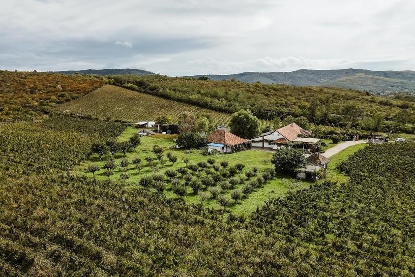 Proprietate specială, de 1,000 mp, în Ghioroc