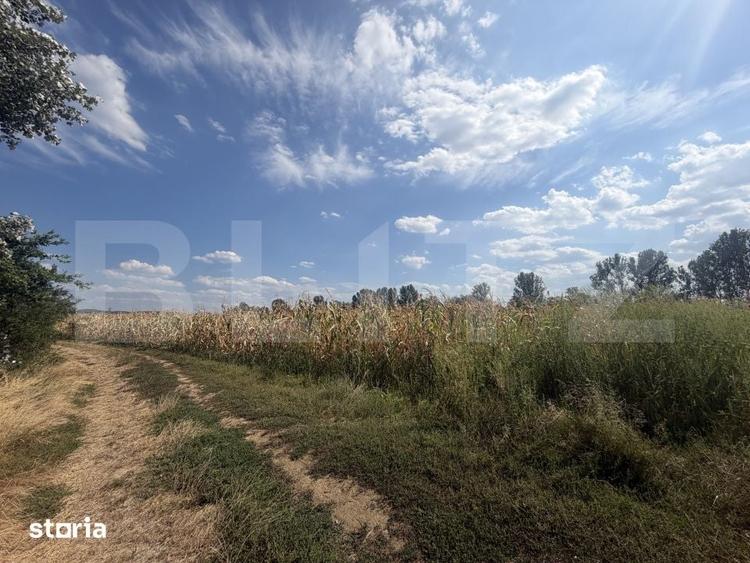 Teren de 9000 mp, în Nușfalău