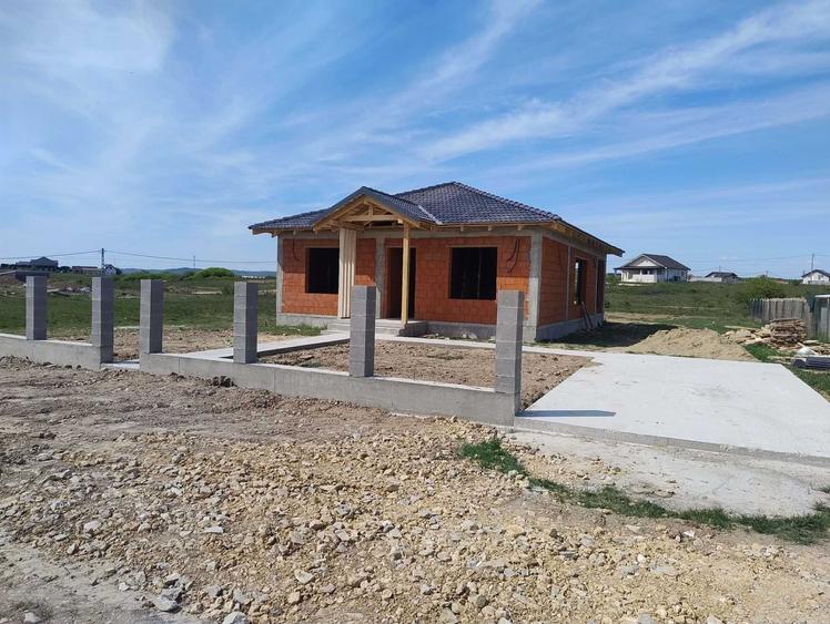 Casa 4 cam langa padure , Alparea - 1