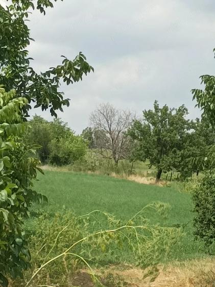 Teren de 3400 mp, în Daia