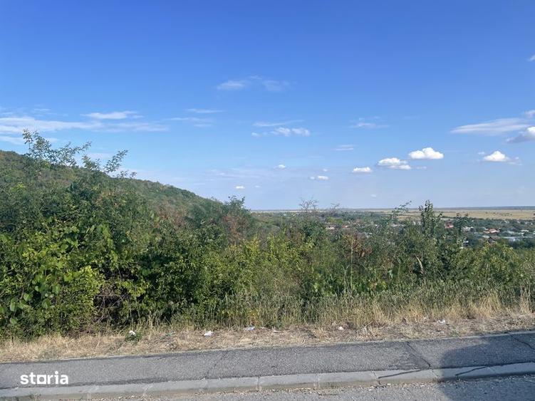 Teren de 1000 mp, în Topoloveni