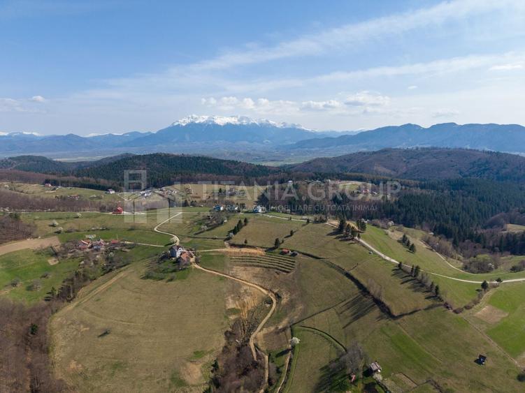 Teren Construcții intravilan de 3791 mp, în Poiana Mărului