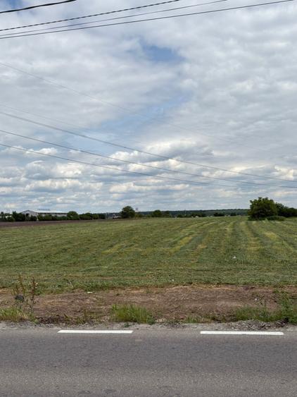 Teren Construcții de 20000 mp, în Ciorogârla