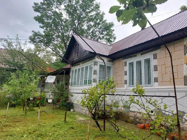 Casă cu Teren 1000 Mp în Lepșa