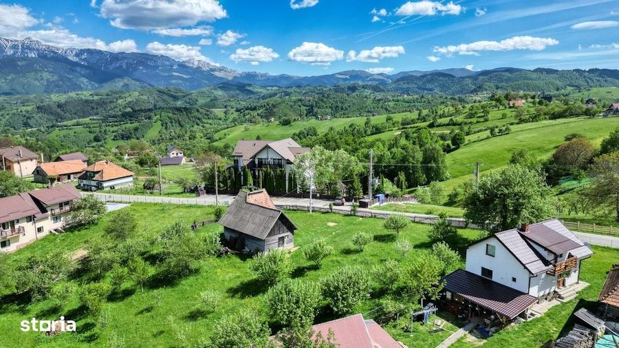 Spațiu comercial, în Peștera