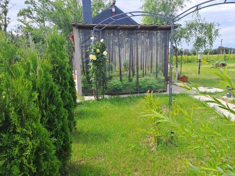Teren Construcții intravilan de 1600 mp, în Potlogeni-Deal
