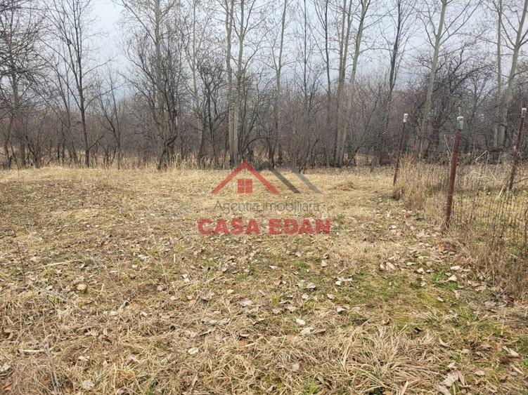 Casă cu Teren 1358 Mp în Gura Beliei