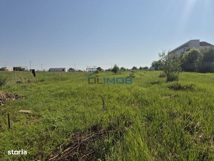 Izvorani - Teren cu deschidere generoasa la lacul Snagov - 8