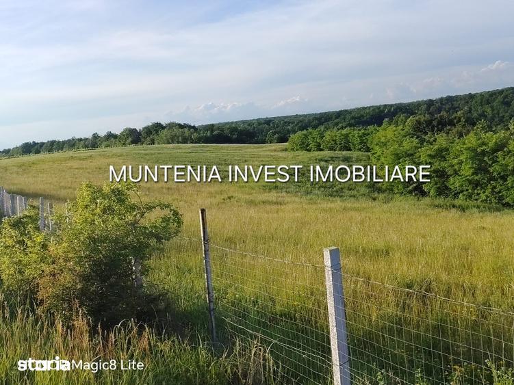 Teren de 935 mp, în Moșoaia
