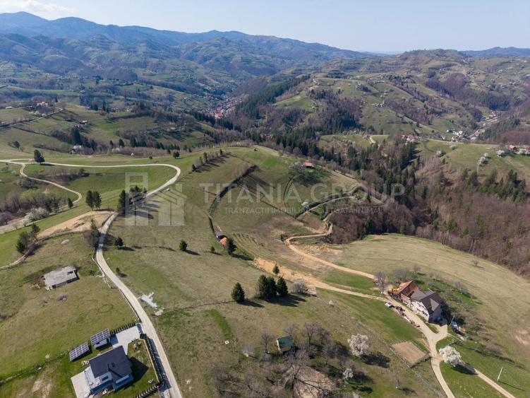 Teren Construcții intravilan de 3791 mp, în Poiana Mărului