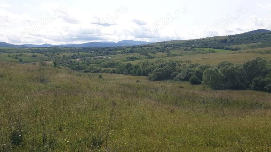 Teren de 500 mp, în Sălicea