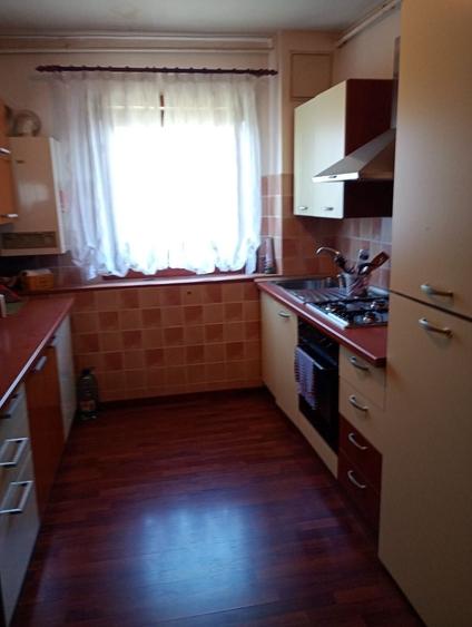Apartament cu 2 camere semidecomandat în Gojdu