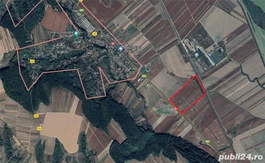 Teren de 200000 mp, în Gheorghe Doja