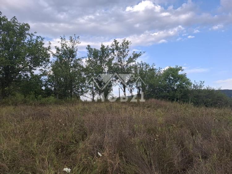 Teren agricol extravilan de 161899 mp, în Șoimari