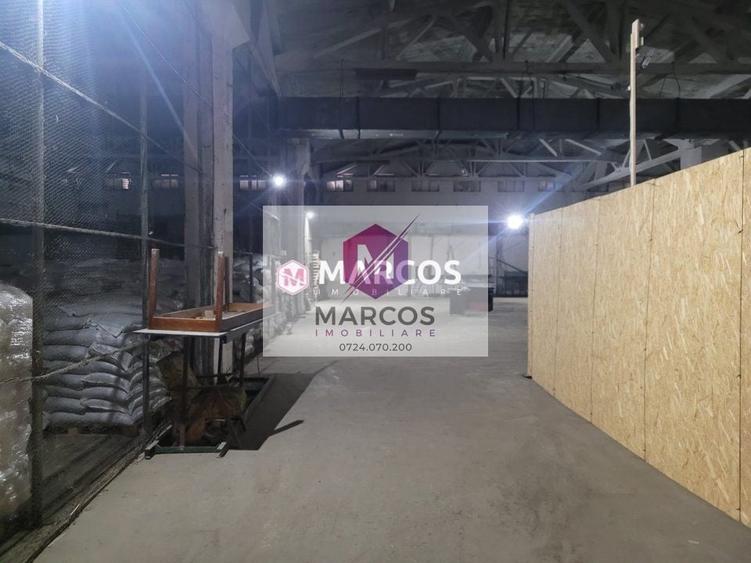 Spațiu industrial, de 600 mp, în Calea Timișoarei