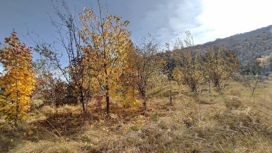 Teren Construcții intravilan de 660 mp, în Bunloc