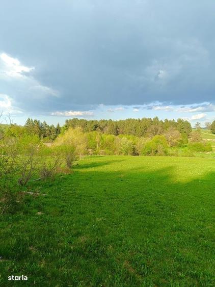 Teren intravilan 3.300 mp cu vedere catre lac Vulcan, zona lacurilor - 12