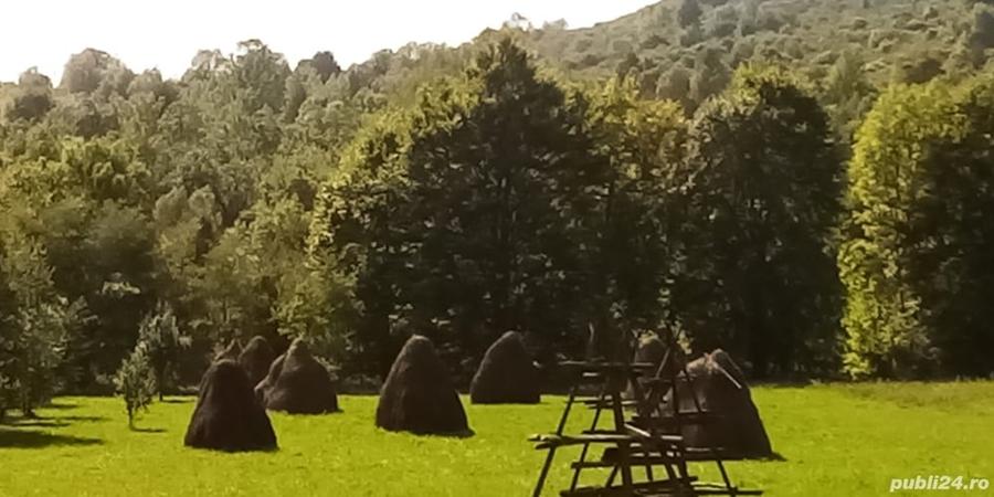 Teren de 2142 mp, în Valea Doftanei