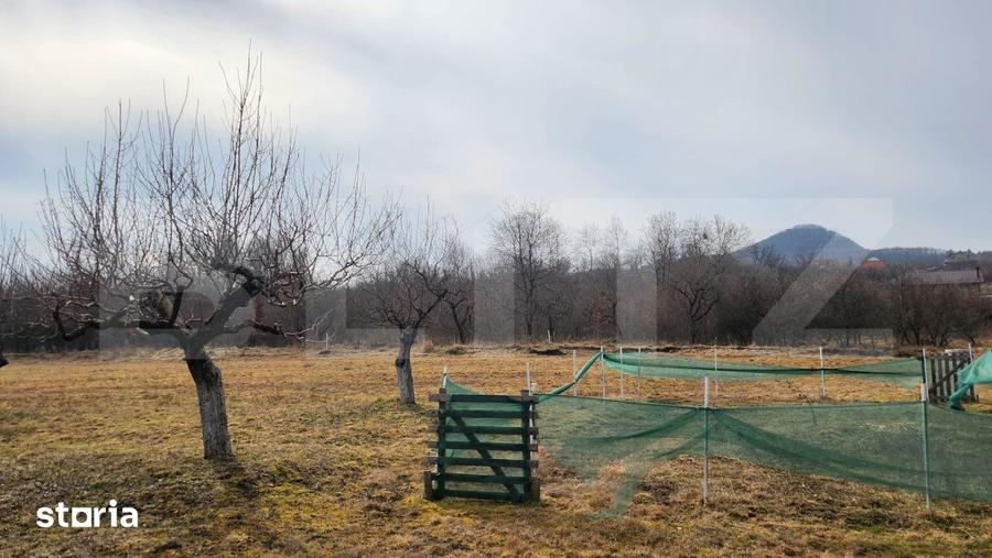 Teren extravilan, 20 de arii, Valea Rusului, pretabil pentru investiti - 1