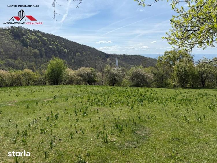 Teren de 8330 mp, în Vințu de Jos