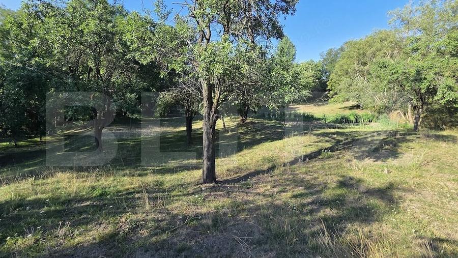 Casă cu Teren 6000 Mp în Central