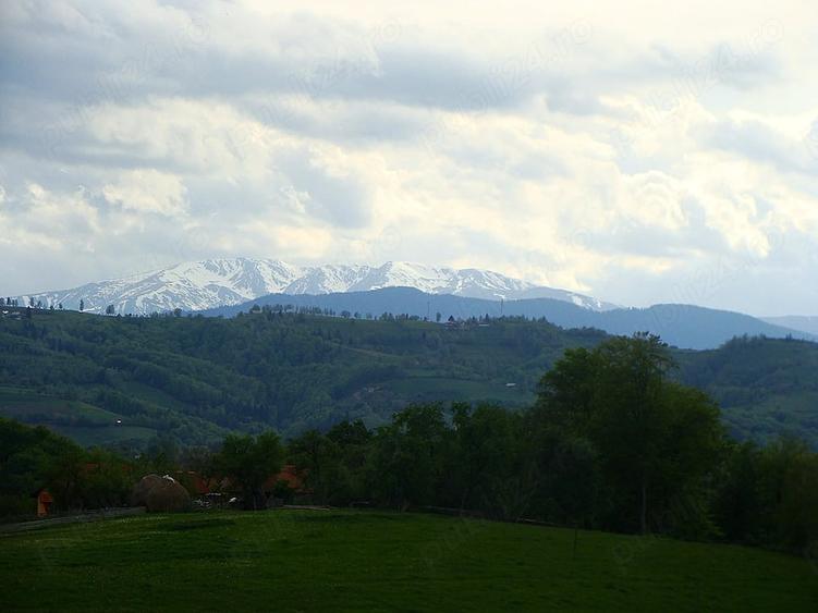Teren de 11600 mp, în Poiana Mărului