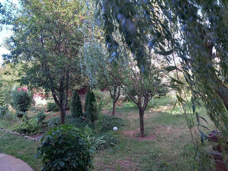Casă cu Teren 1100 Mp în Central