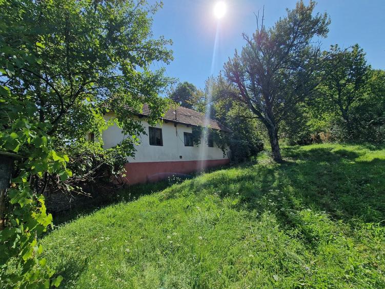 Casă cu 4 camere în Criștioru de Jos
