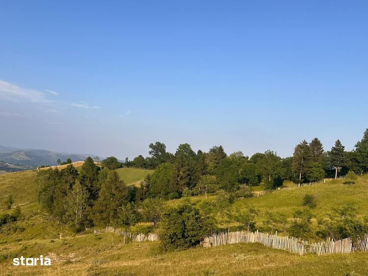 Teren de 13000 mp, în Talea