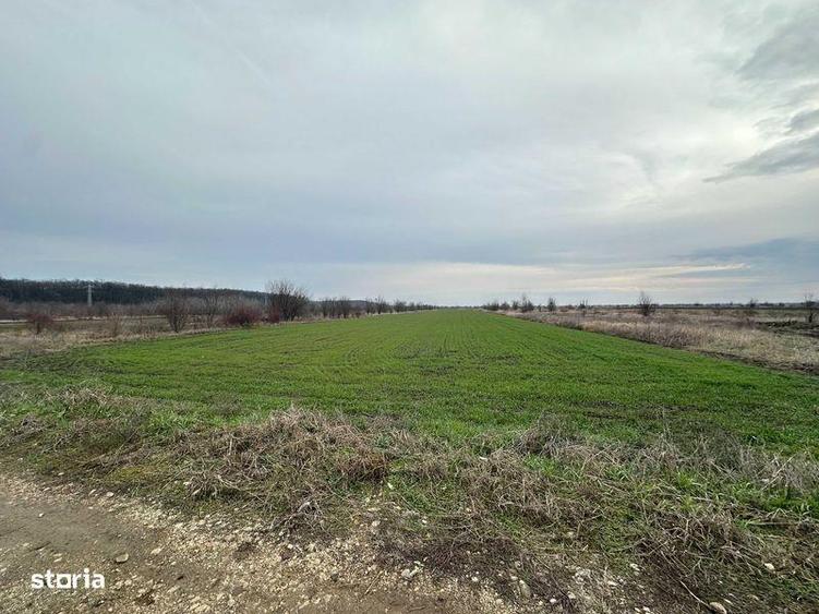Teren de 545 mp, în Tărtășești