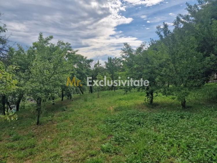 Teren de 1400 mp, în Albota
