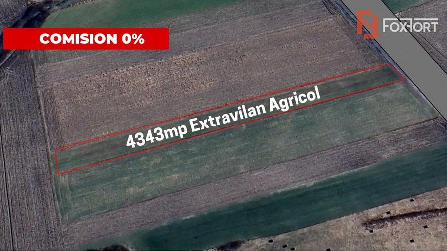 Teren agricol extravilan de 4343 mp, în Utvin
