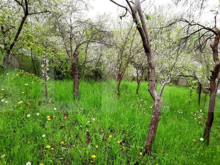 Teren de 3040 mp, în Grigorescu