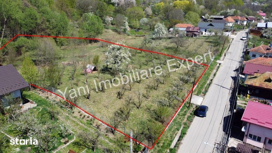 Teren de 3851 mp, în Curtea de Argeș