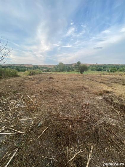 Casă cu 6 camere cu Teren 3400 Mp în Sprâncenata
