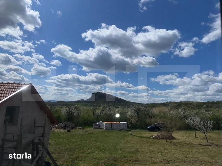 Casă cu Teren 1700 Mp în Rapoltu Mare
