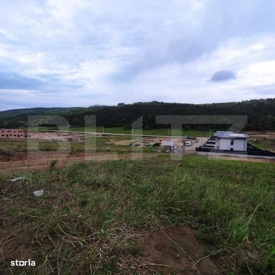Spațiu comercial, în Valea Lupului