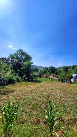 Teren Construcții intravilan de 1900 mp, în Fârtățești