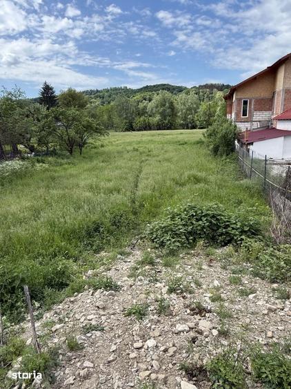 Teren de 1200 mp, în Provița de Sus
